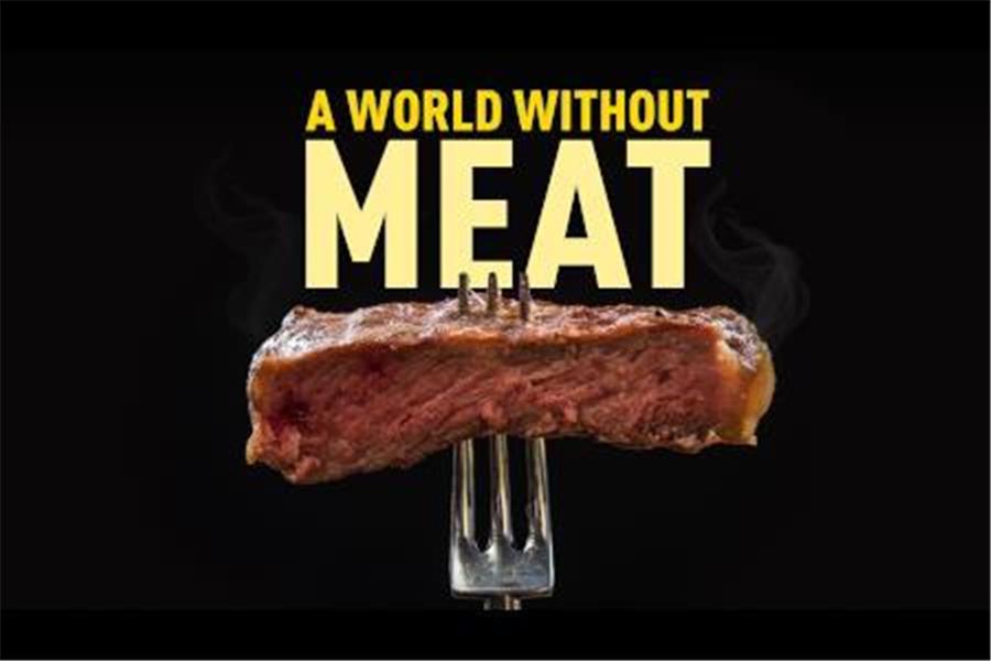 a-world-without-meat
